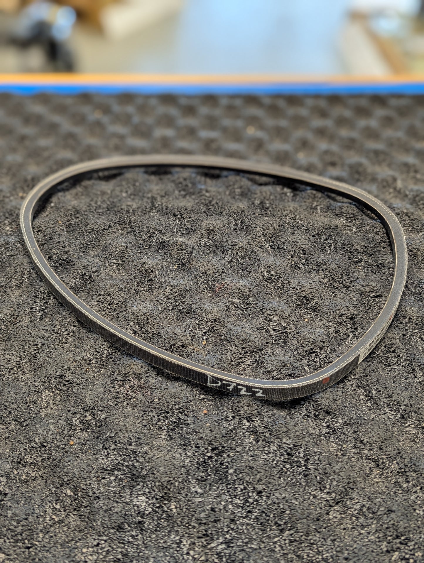 Belt D722, A324083