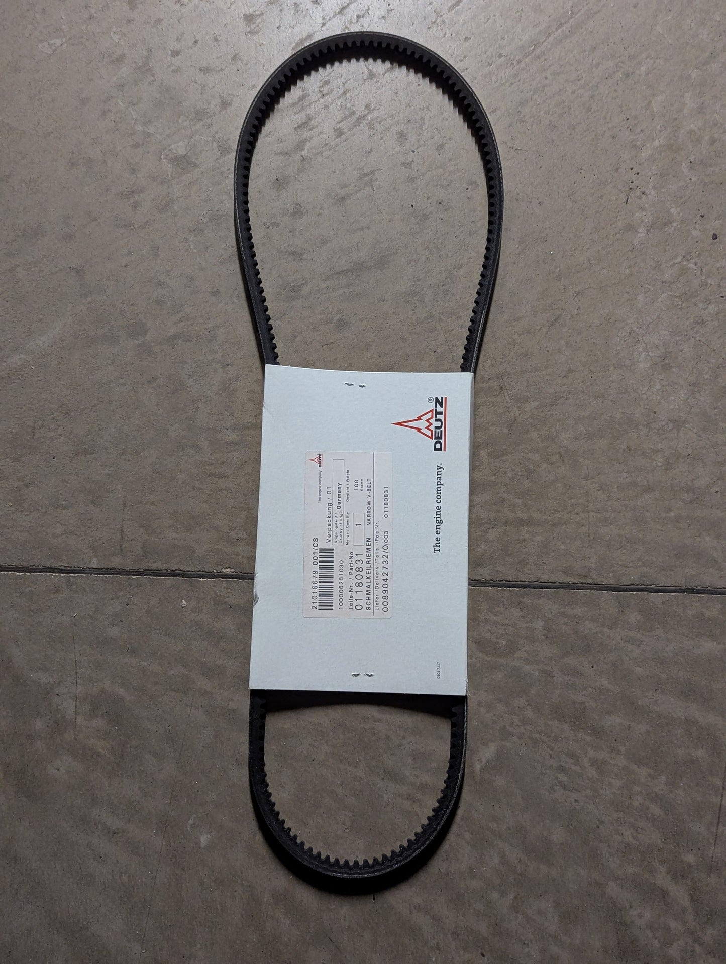 Deutz Belt 0118-0831