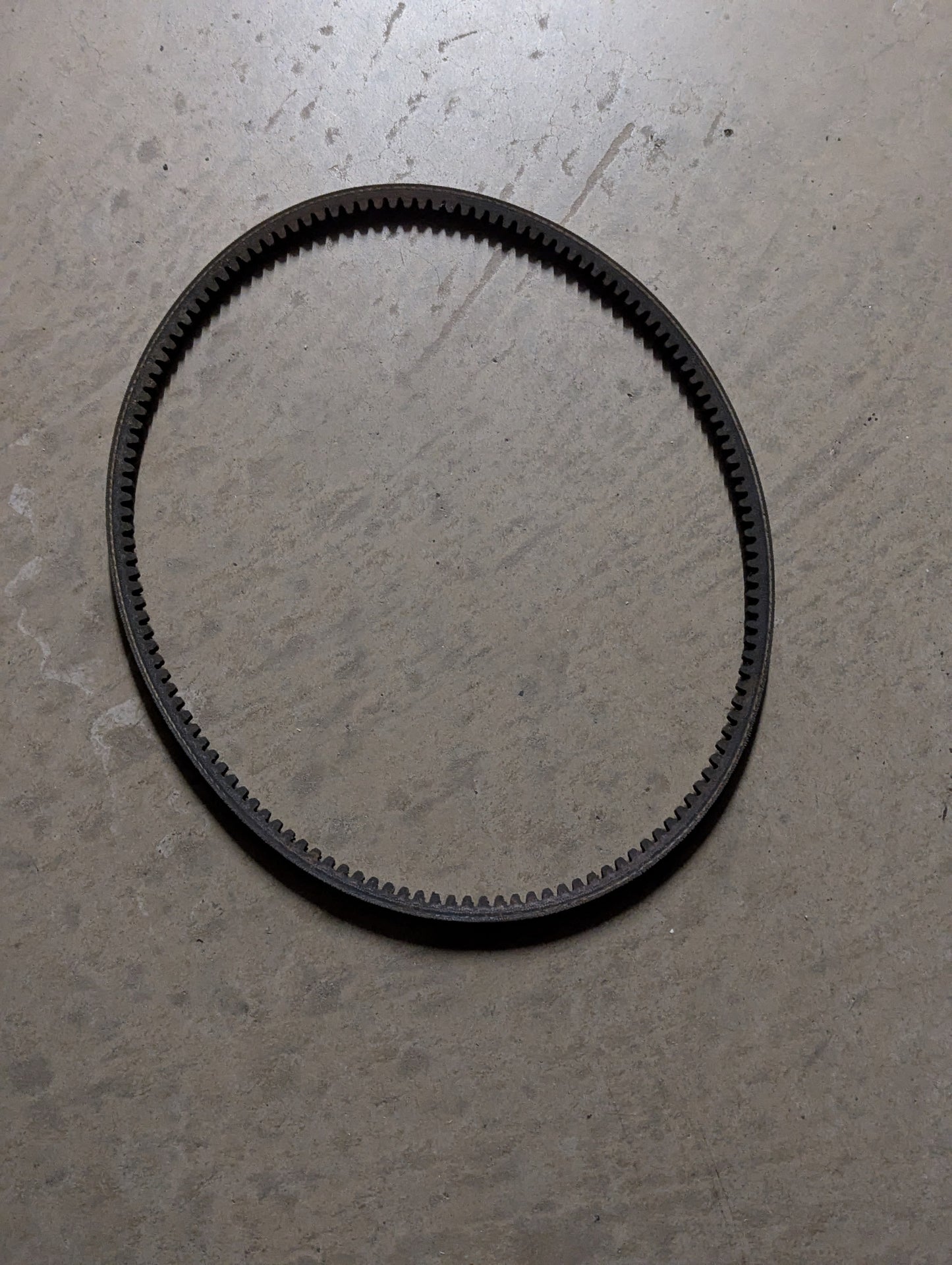 Deutz Belt 0117-9648