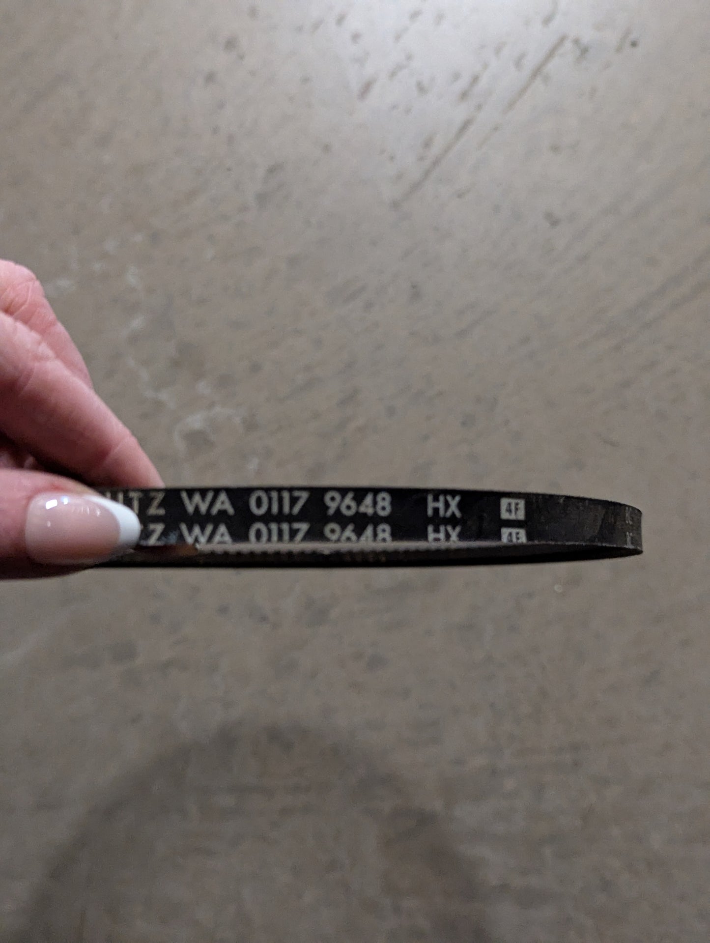 Deutz Belt 0117-9648