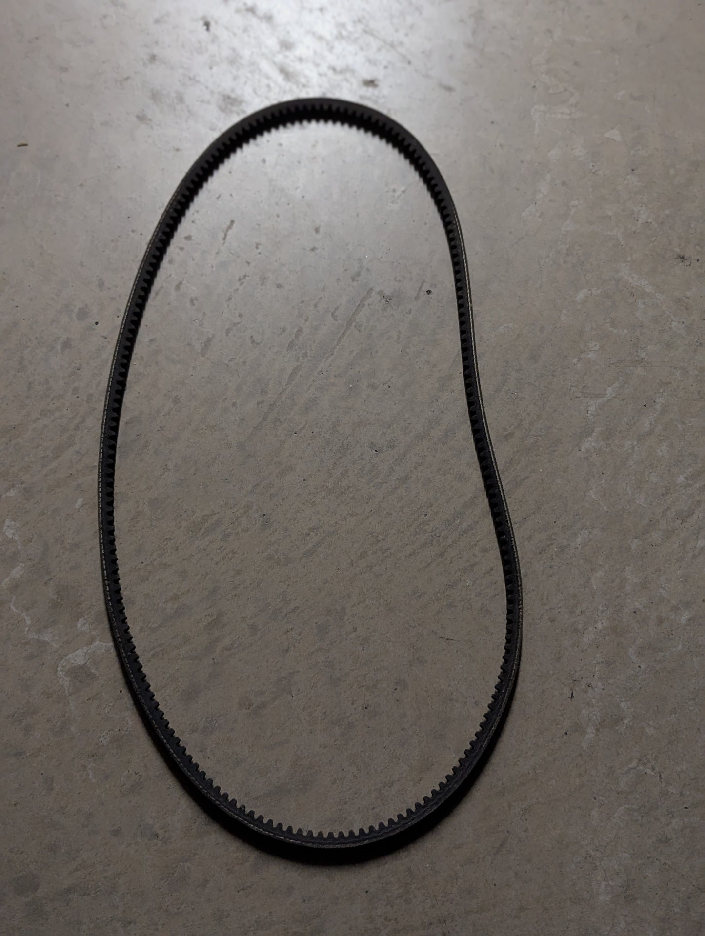 Deutz Belt 0118-0831