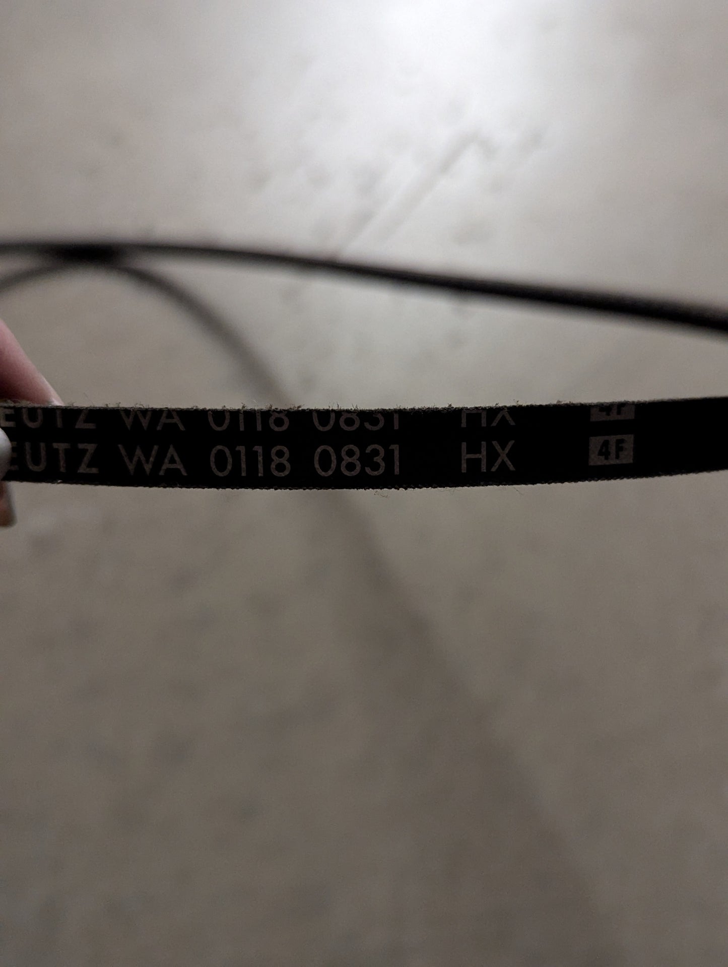 Deutz Belt 0118-0831