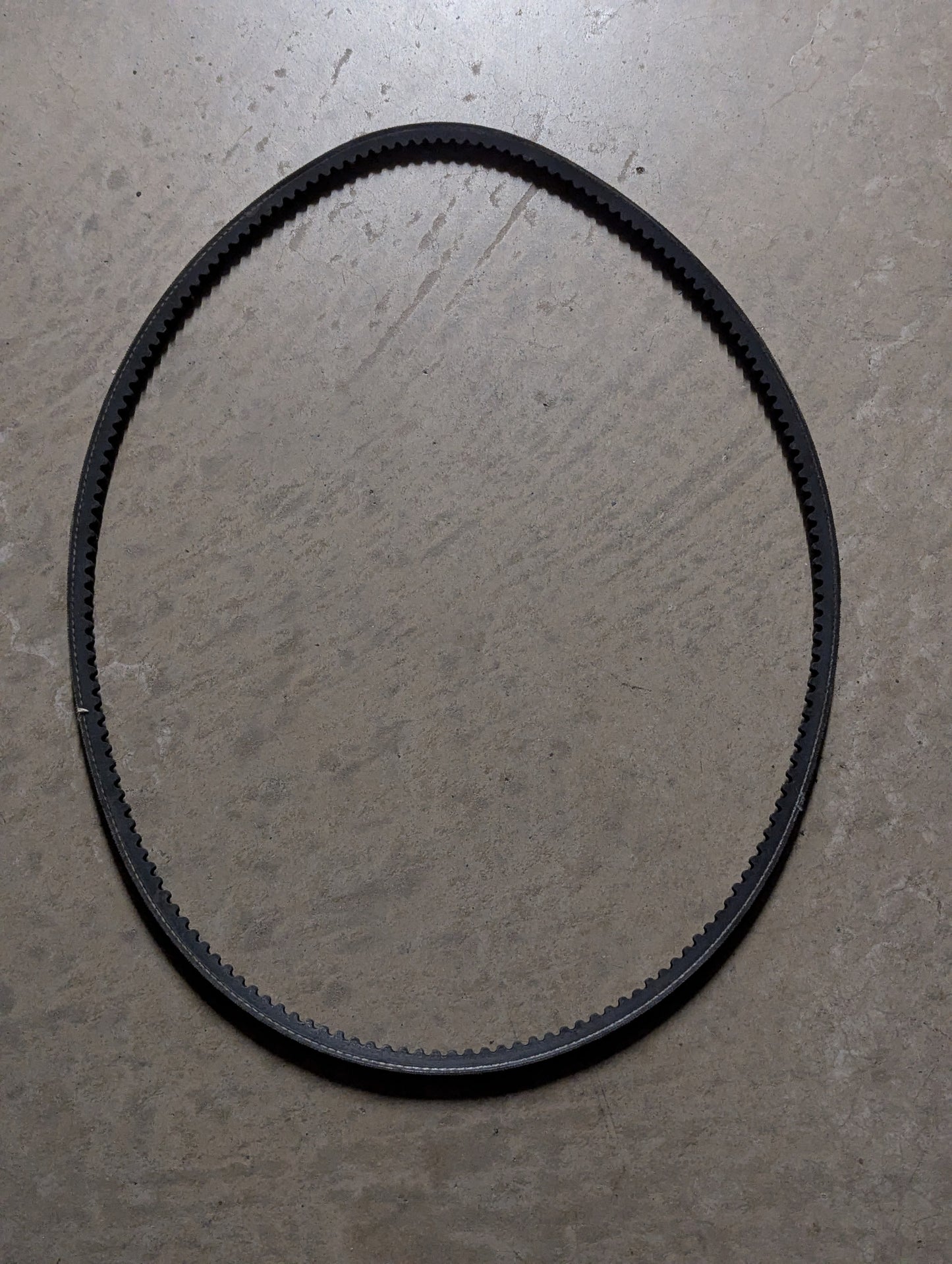 Deutz Belt 0117-9565