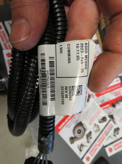 Cummins / JCB L9 QSB MAP sensor & wiring loom/harness SP1253 5256263