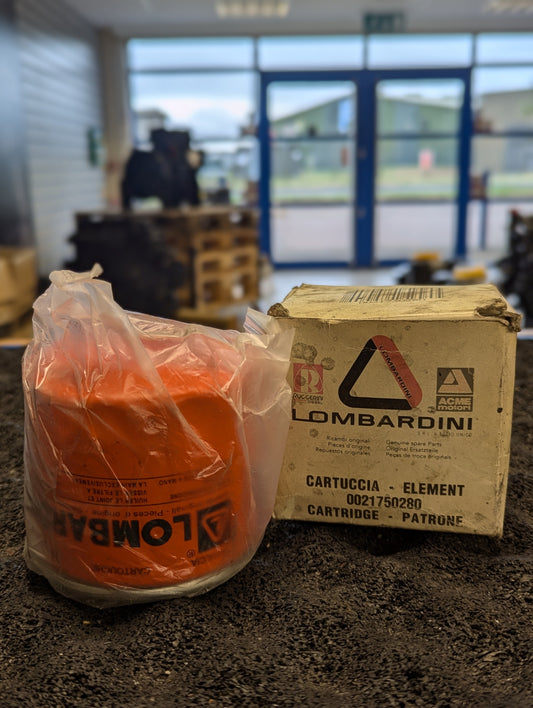 Lombardini Cartridge ED0021750280
