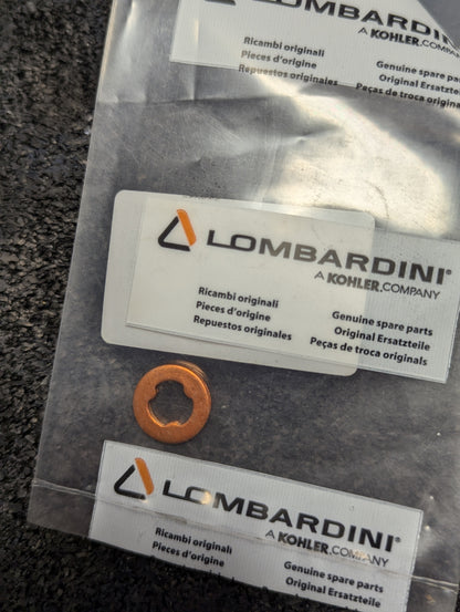 Lombardini Injector Gasket ED0046701430