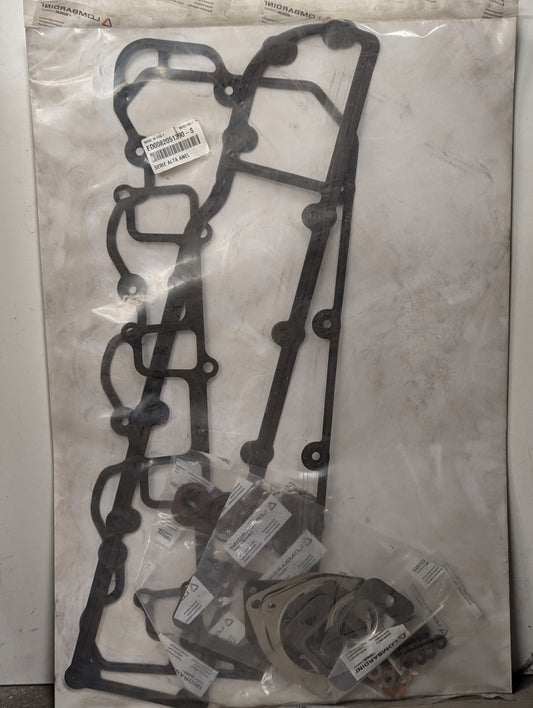 Lombardini Head/Fuel System Gasket Kit ED0082051390