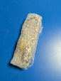 Water Temp Sensor 4309449-02