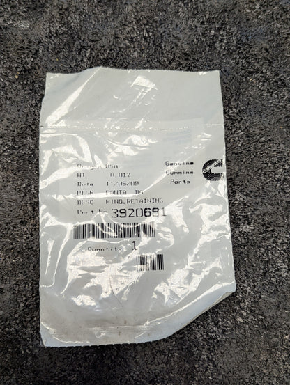 Cummins Retaining Ring 3920691