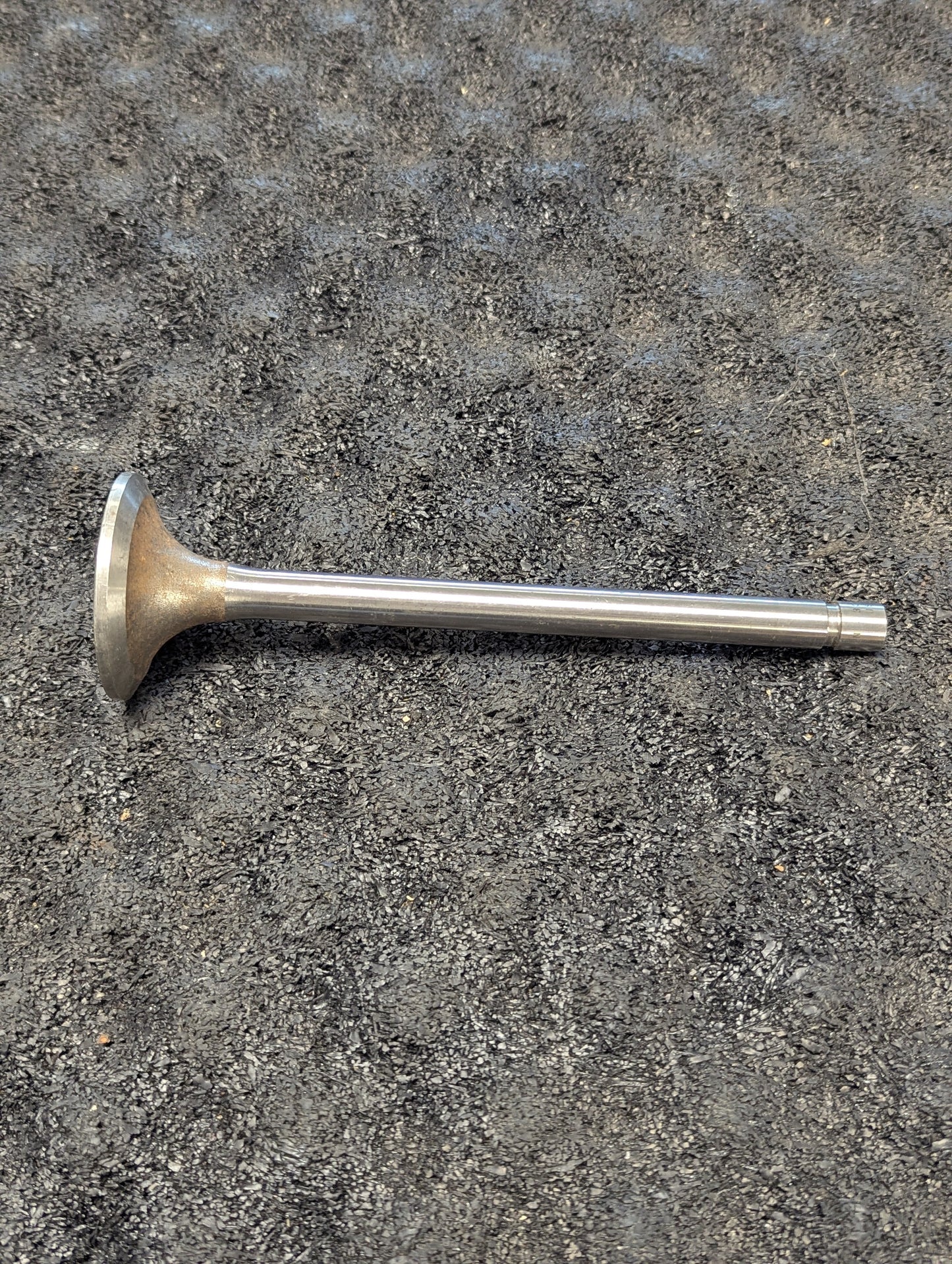 Cummins Exhaust Valve 3035110