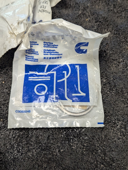 Cummins Valve Insert 3820180