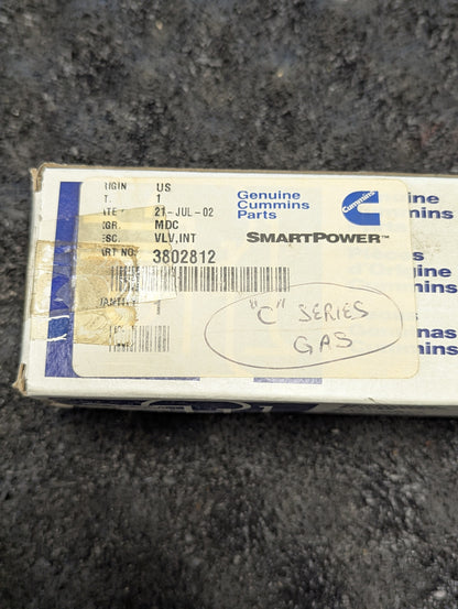 Cummins Intake Valve Kit 3802812
