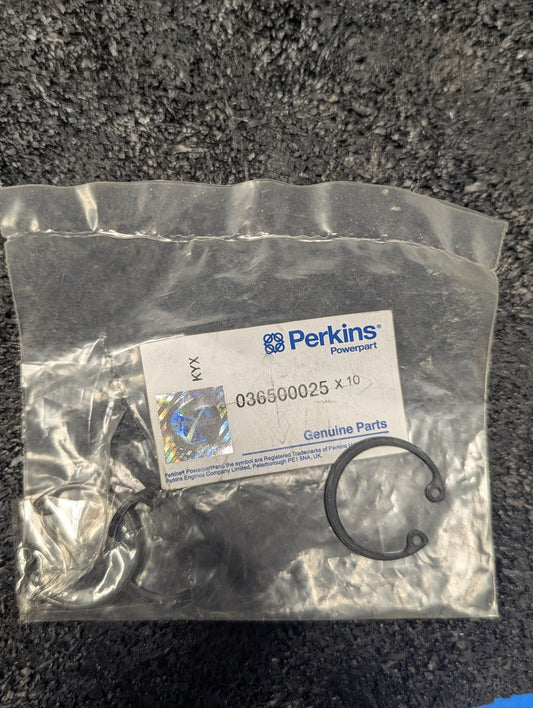Perkins Circlip 036500025