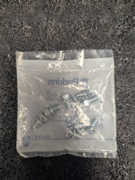 Perkins Screw 011310612