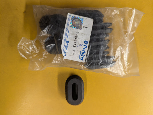 Perkins Inspection Plug 37813113