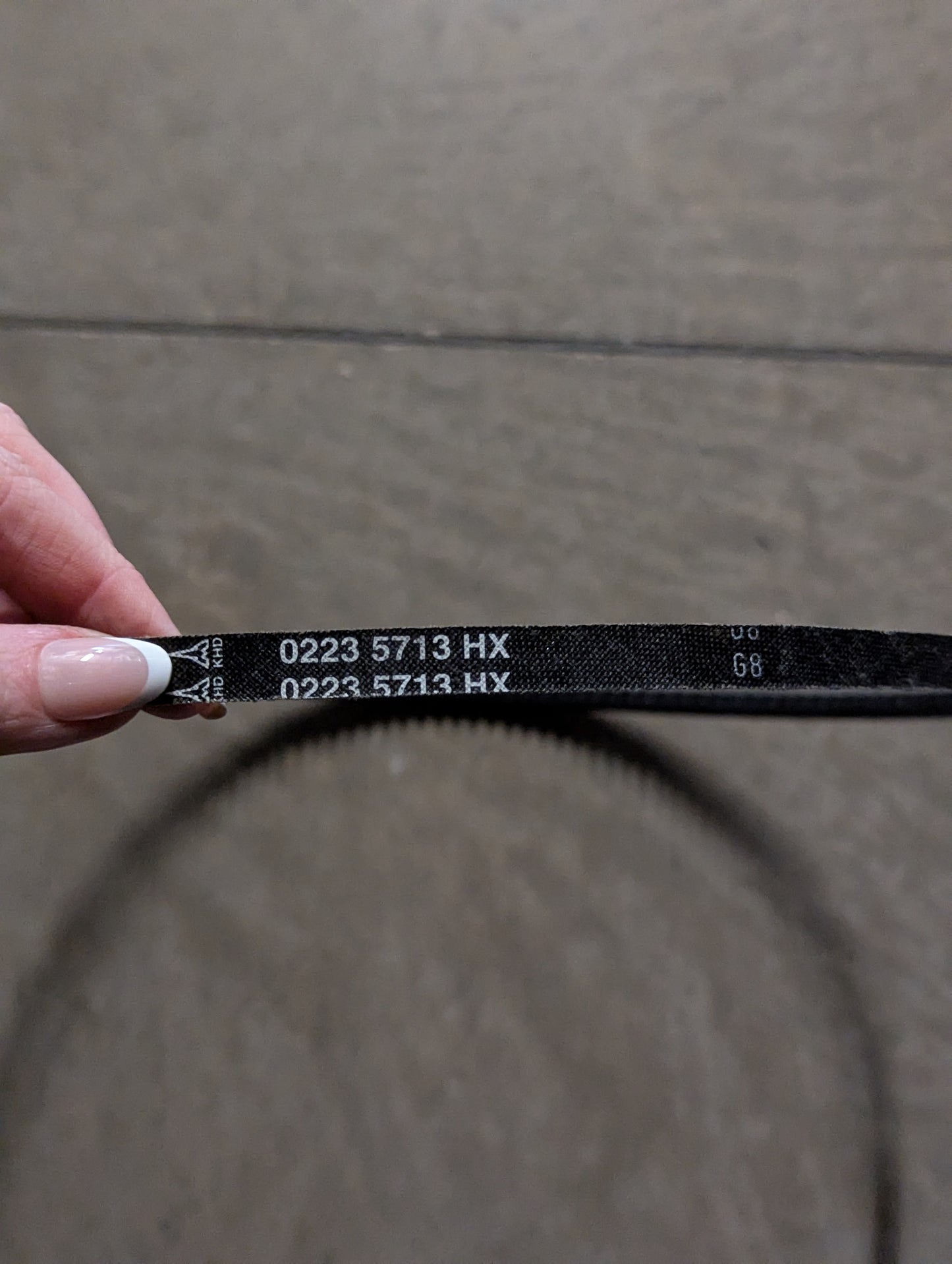 Deutz Belt 0223-5713