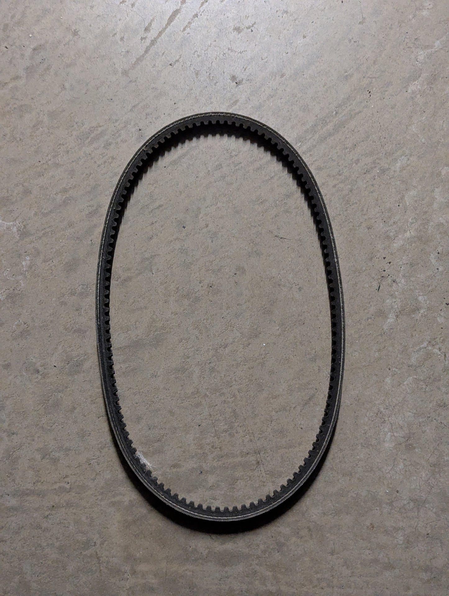 Deutz Belt 0118-2064
