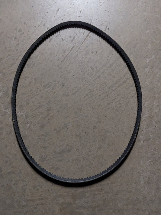 Deutz Belt 0117-9565